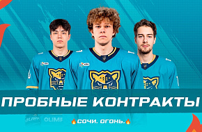 Заключили три пробных контракта!